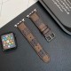 Louis Vuitton Monogram & Damier Patterns Apple Watch Band