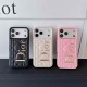 Dior Quilted Pattern with Metallic Logo iPhone Case