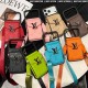 Louis Vuitton Large Logo Accordion Cardholder Crossbody iPhone Case